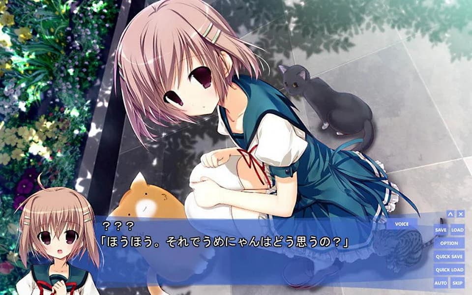 https://images.yurari.moe/images/bbdedd08-b5cb-4b70-bae2-1e06d546ec2b.webp