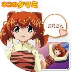 ネコのタマミ