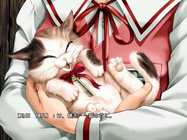 https://images.yurari.moe/images/c110f008-67e6-4a10-99b1-239ab18e0aee.webp