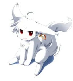 Koma