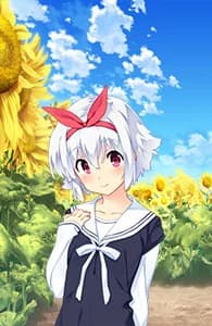 日向葵