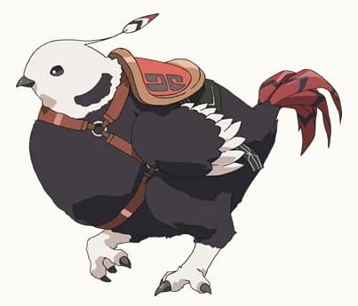 可可波