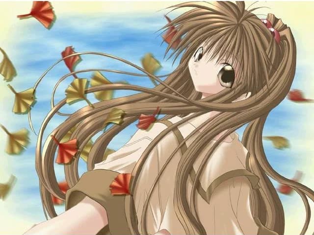 白沢秋姫
