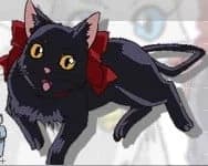 クロ