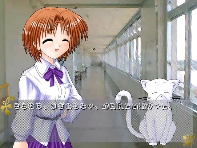 https://images.yurari.moe/images/d4476030-fd8d-4989-af7d-bb02e67e9866.webp