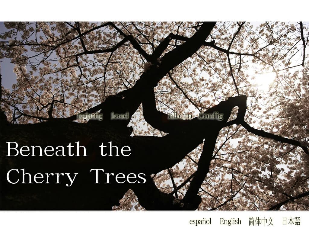 https://images.yurari.moe/images/d4c05609-a38b-4c94-96ac-95bb96151723.webp
