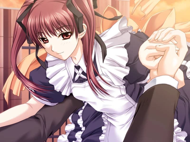 https://images.yurari.moe/images/d9645829-077a-4f81-85b0-423520c0812a.webp