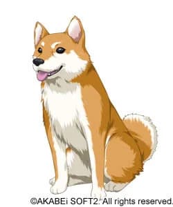 Jon