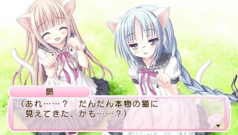 https://images.yurari.moe/images/db974200-b276-4636-8c4c-4db84123e96b.webp