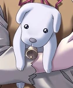 ピピ