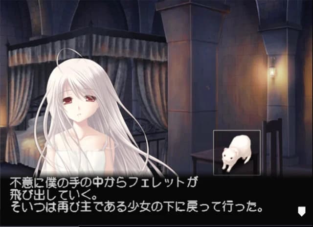 https://images.yurari.moe/images/dce52425-18c5-4a69-9073-3093032ac968.webp