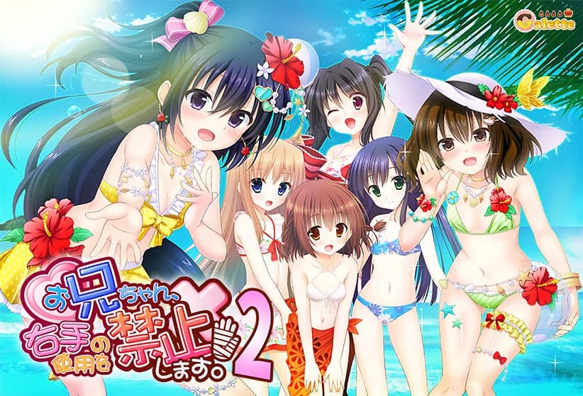 お兄ちゃん、右手の使用を禁止します！ 2