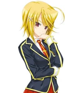 九条翼