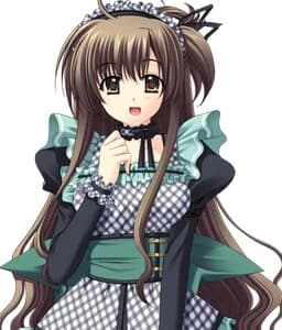 望月纪奈子