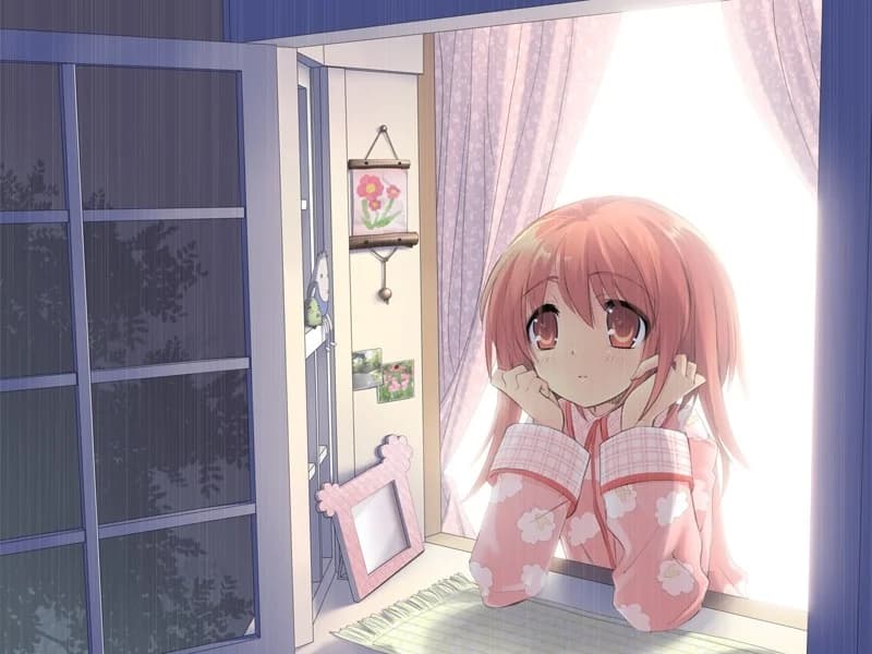 https://images.yurari.moe/images/e49284dd-bc2c-4404-b46e-92e997210461.webp
