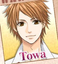 Towa