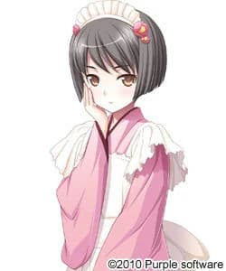 枫