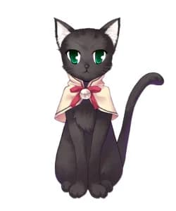 ヌクエスタ