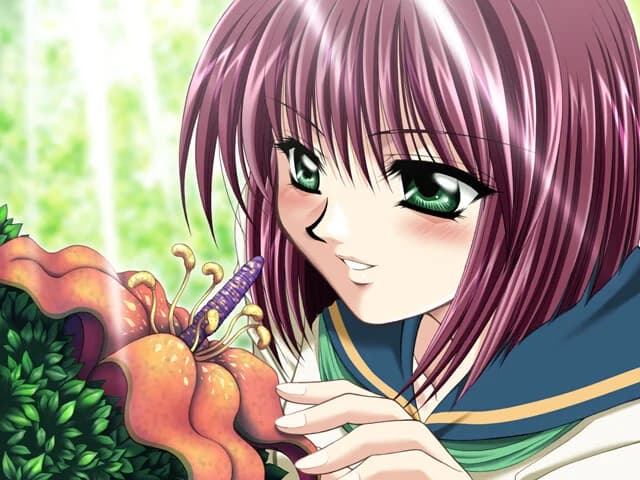 https://images.yurari.moe/images/e74e4917-407f-4991-95c7-1fd6db537cc2.webp