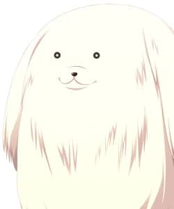Kuu