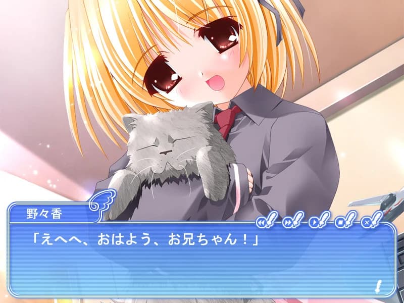 https://images.yurari.moe/images/e90cf92a-eb50-489c-9ec0-ed274c1a3eaa.webp