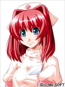 Ogasawara Momoko