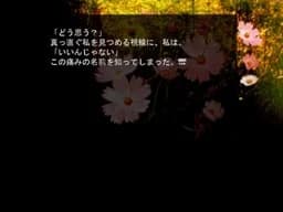 コスモス