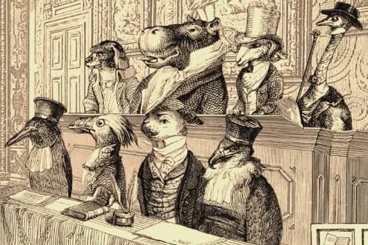 Jury