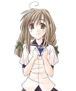 白菊樱花