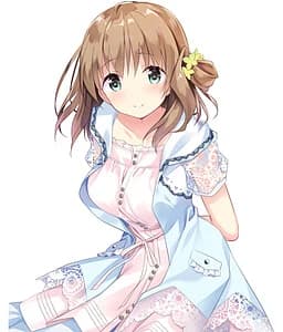新田忍