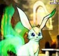 Navi