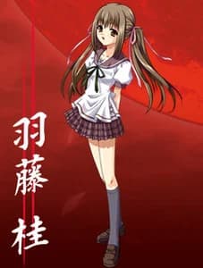 羽藤桂