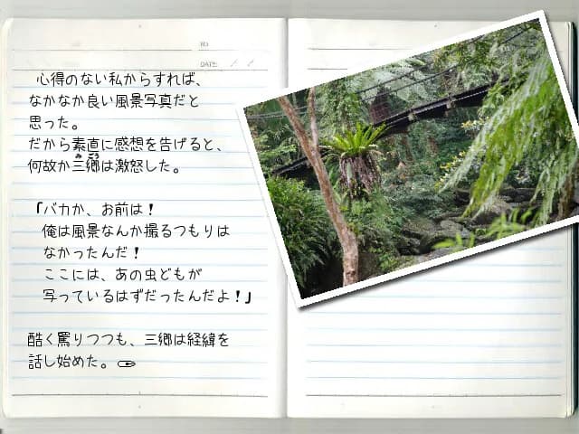 https://images.yurari.moe/images/fdb90b41-ed4b-4e81-9d6c-974d68e25f58.webp