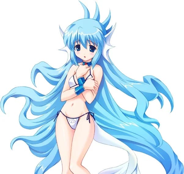海のサチ