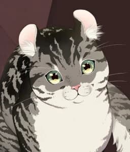 猫ちゃん