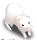 くっきー
