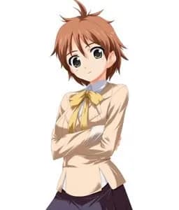 Tosa Mizuki