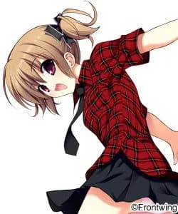Irisu Makina