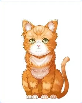 仔猫