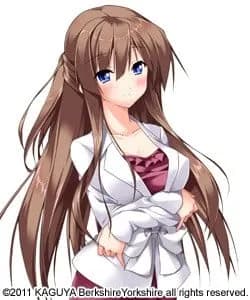 夏樫恵