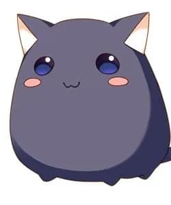 Puuchin
