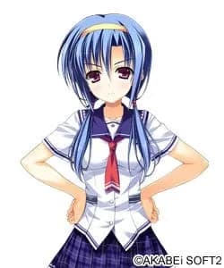 沢村アキナ