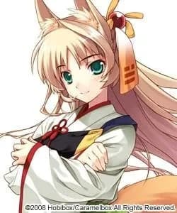 藤花