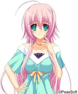 Yashima Yuzuki