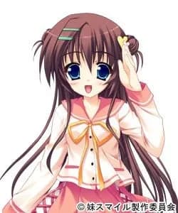 東野春菜