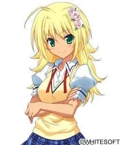 夏目向日葵