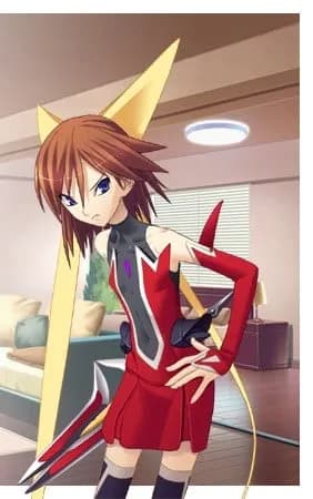 加賀野凛
