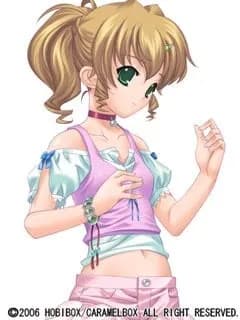 觀興寺六花