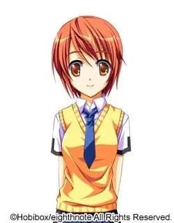 四季彩