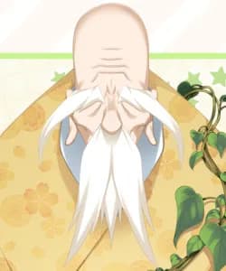 Mountain 's Great Spirit